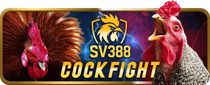 Cá cược thể thao điện tử game 555win