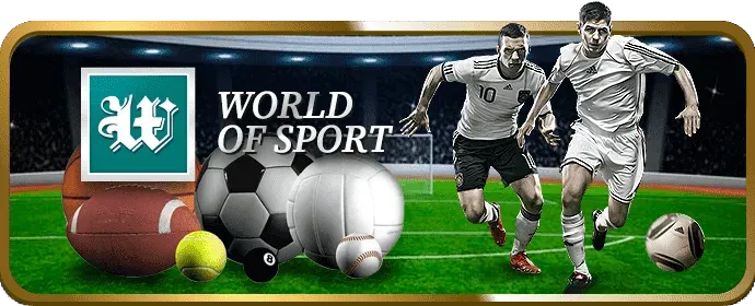 Cá cược bóng đá game 555win